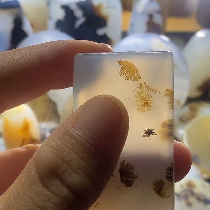 未镶嵌颈饰玛瑙/玉髓药**胡