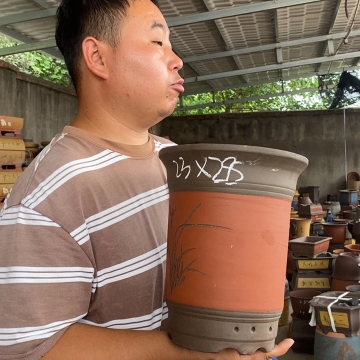 紫砂花盆盆栽植物花卉苗木种植