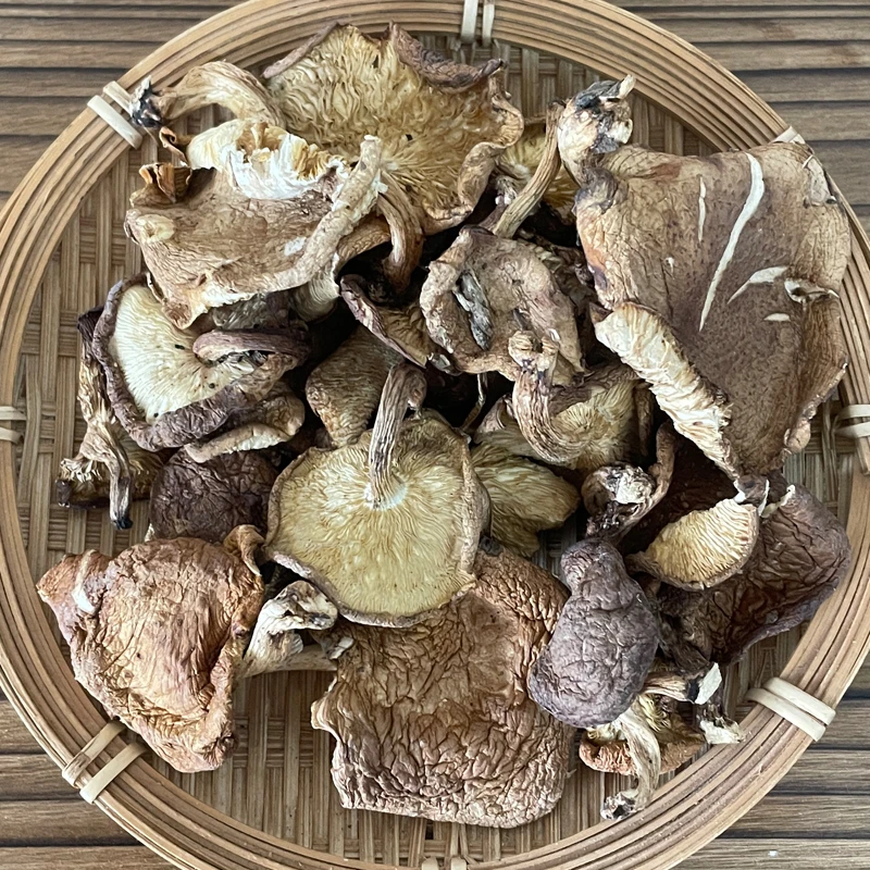 【野香菇】2025新菇云南香信蘑菇干货山珍土特产菌子菌菇