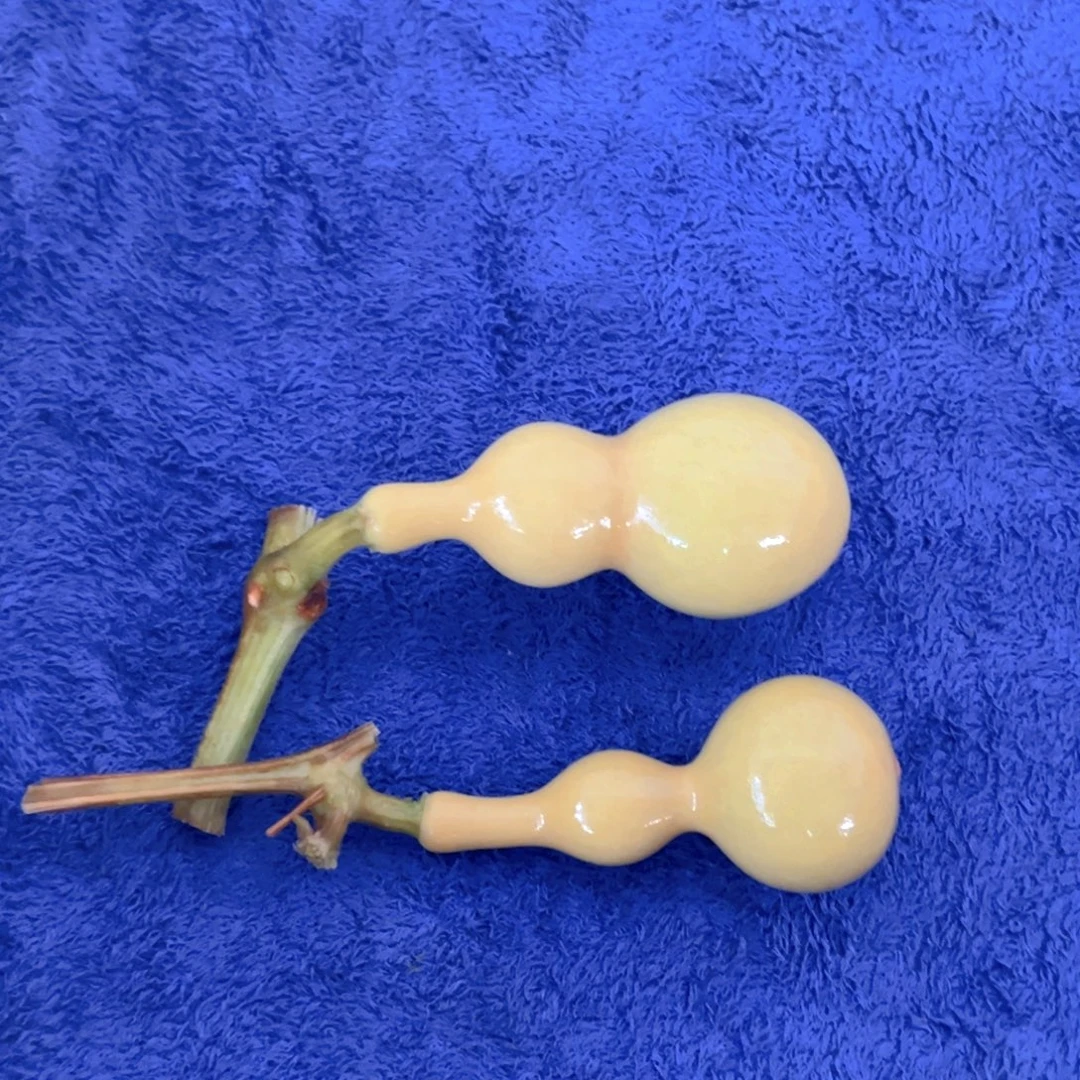用***3天津嘴儿葫芦葫芦