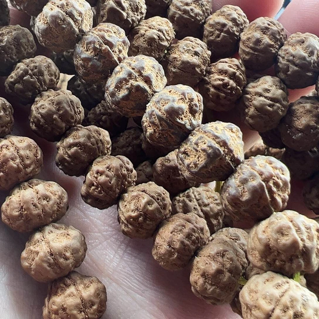 金刚菩提吊坠飞碟莲花10m