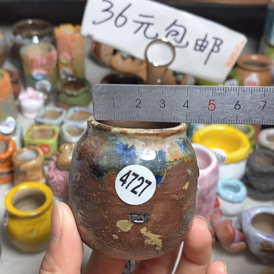 拍5送一个小礼物