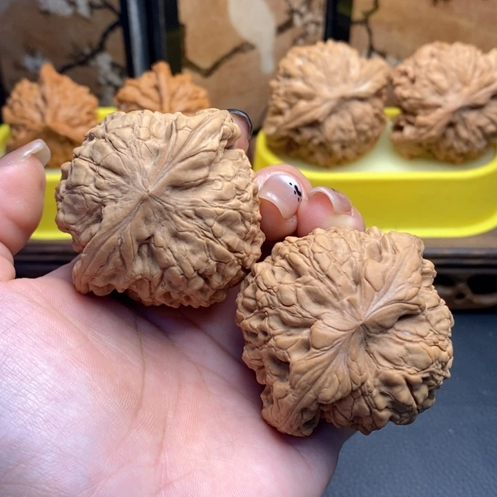 文玩核桃把件552龙顶51全品