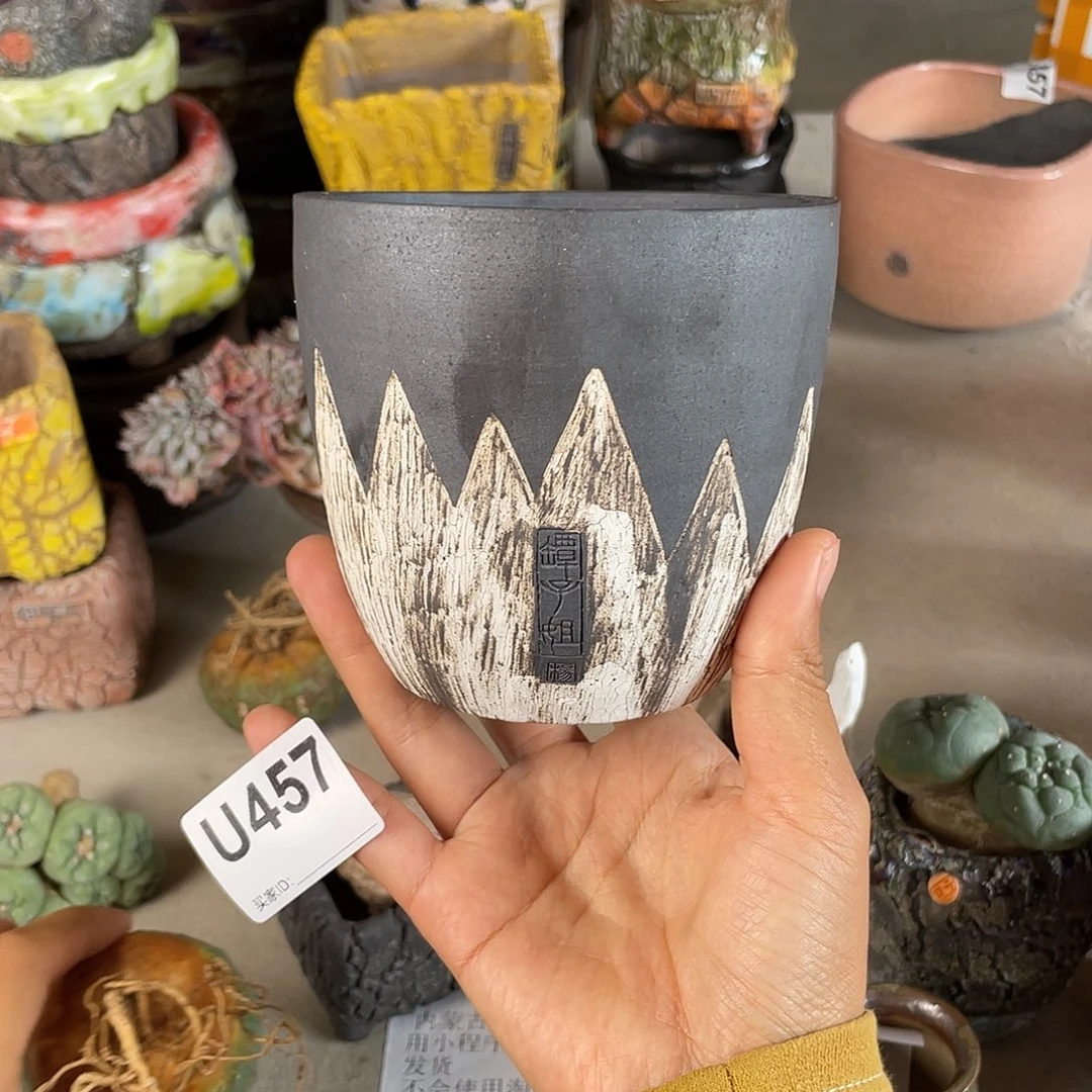 双十一限时活动 默认微次