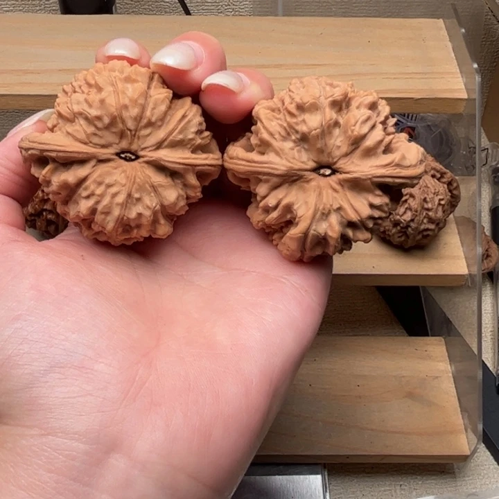 文玩核桃把件54尺全品官帽点点磕碰71g