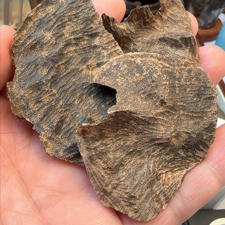 沉香摆件海南老铁顶9.5克