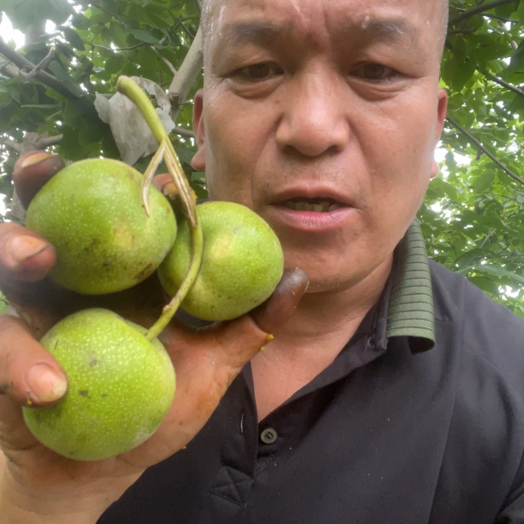 文玩核桃吊坠楼子55青皮10个包熟不退