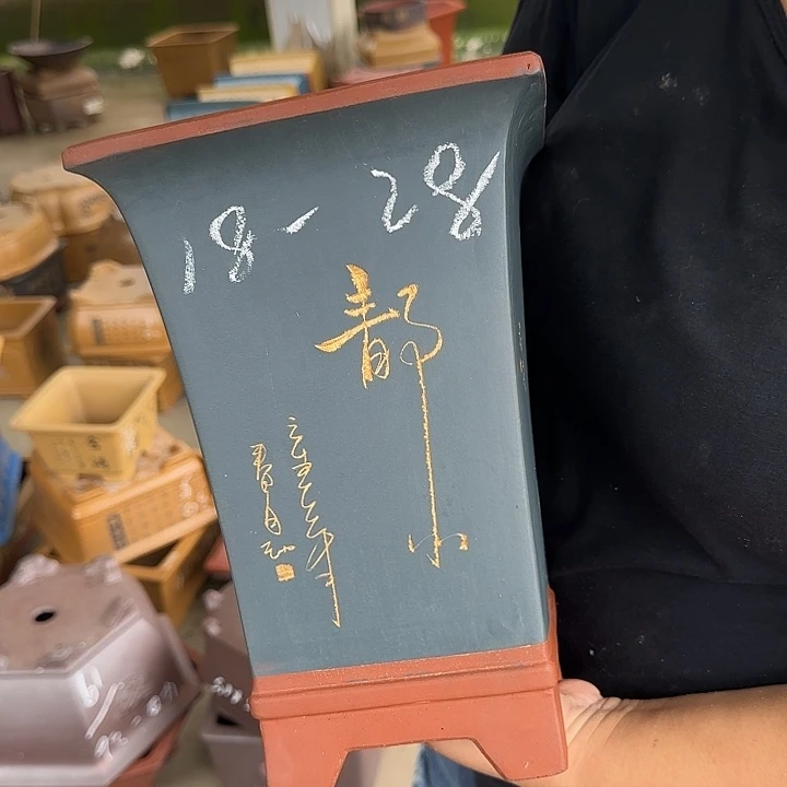 这篇小说中关于女人