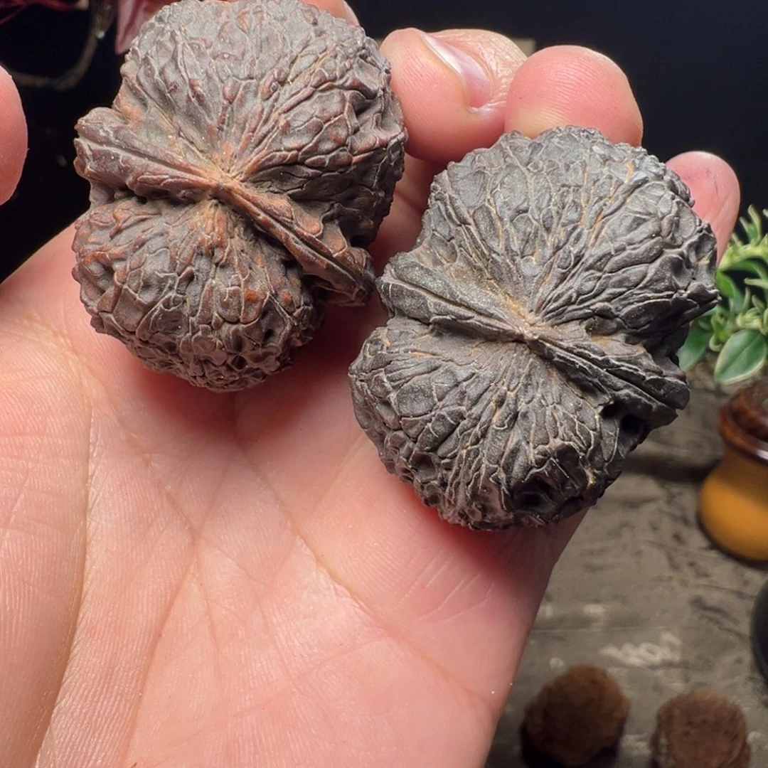 文玩核桃吊坠龟甲元宝43mm