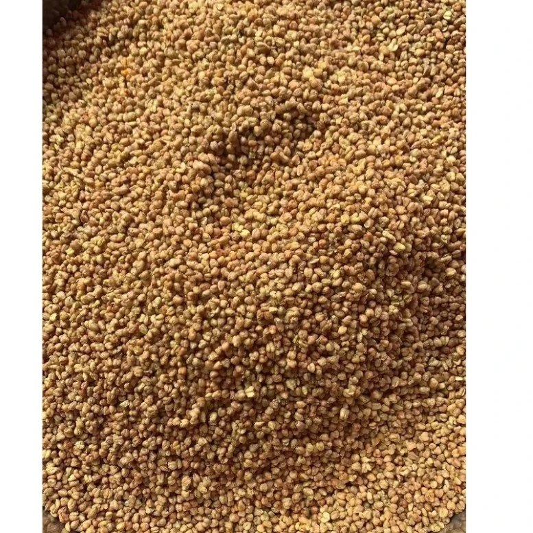 云南山货甄选   苦～荞～查