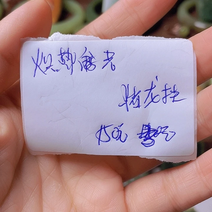 未镶嵌岫岩河磨玉（透闪石质玉）挂件炽**晖