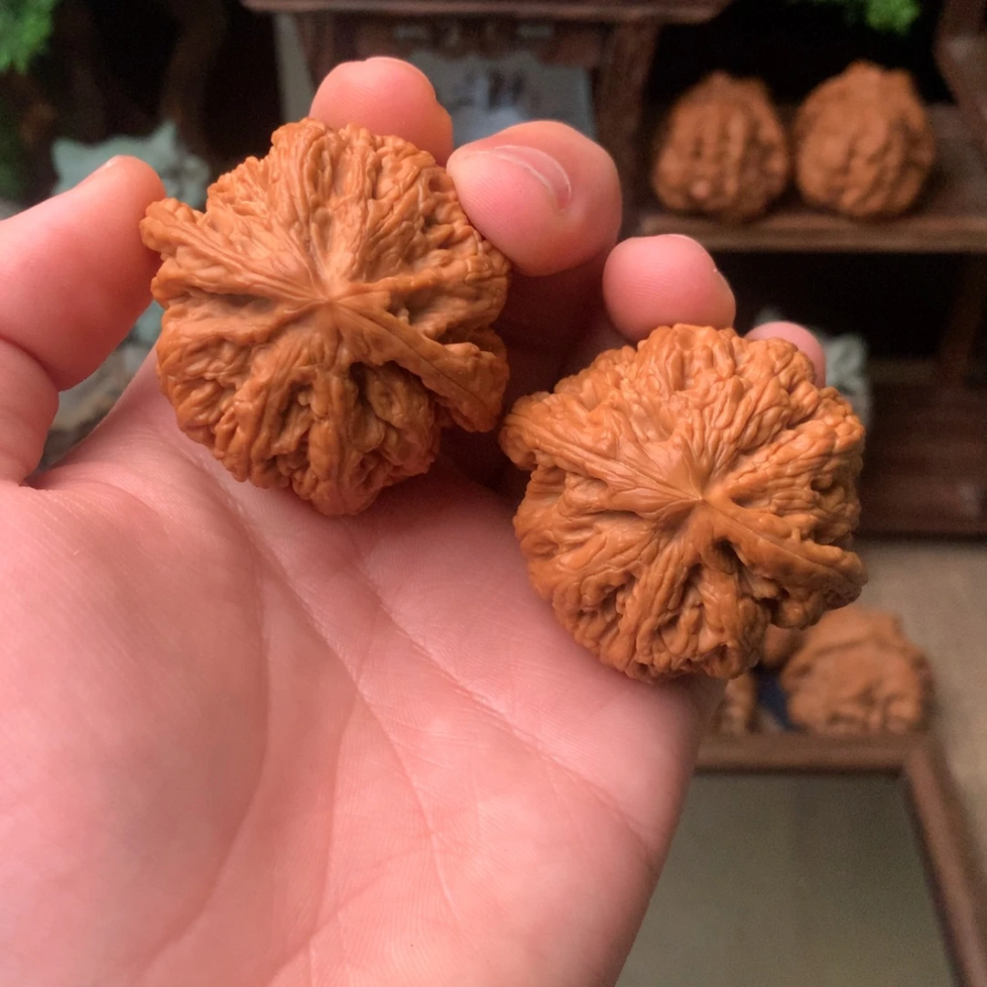 把件文玩核桃47尺寸大粗筋