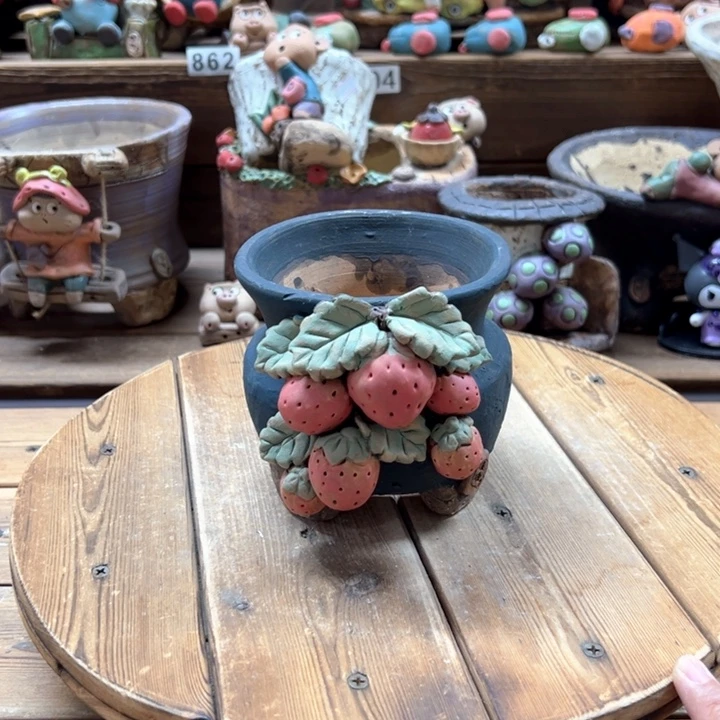 嘻哈多肉花盆百搭