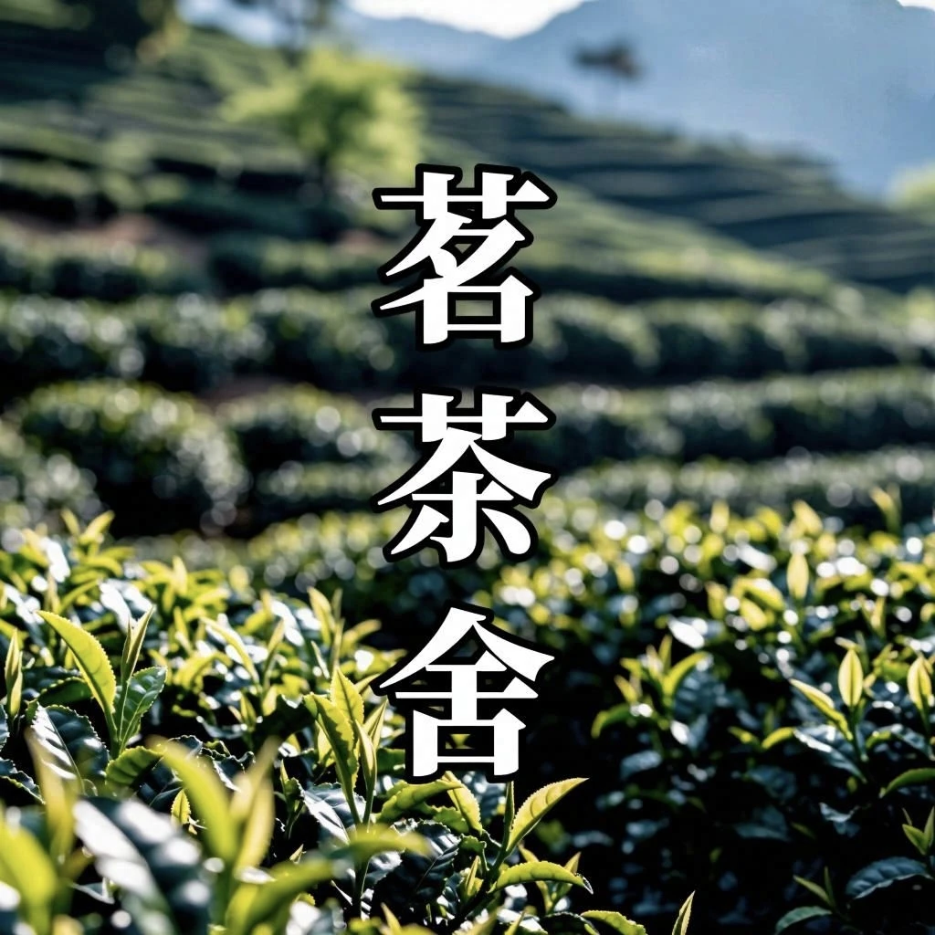 茗茶舍 改价链接8883