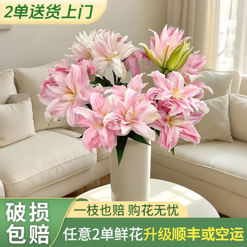 【云上花卉】戴安娜重瓣百合 任意两单花材升级顺丰冷链或德邦