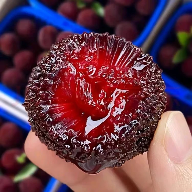 云南东魁大杨梅1.8斤/盒±0.2 【次日达】新鲜杨梅云南省