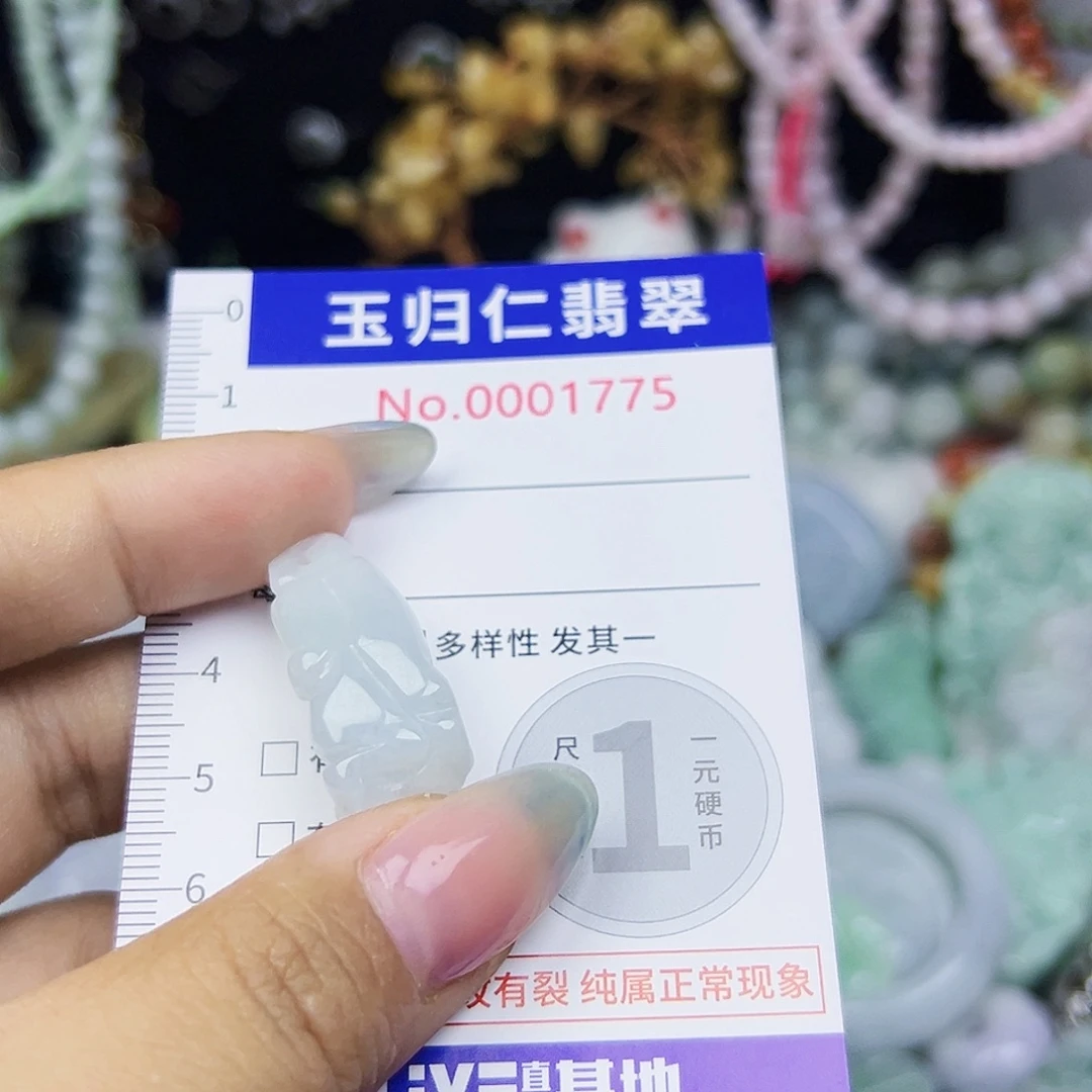 翡翠未镶嵌颈饰1111