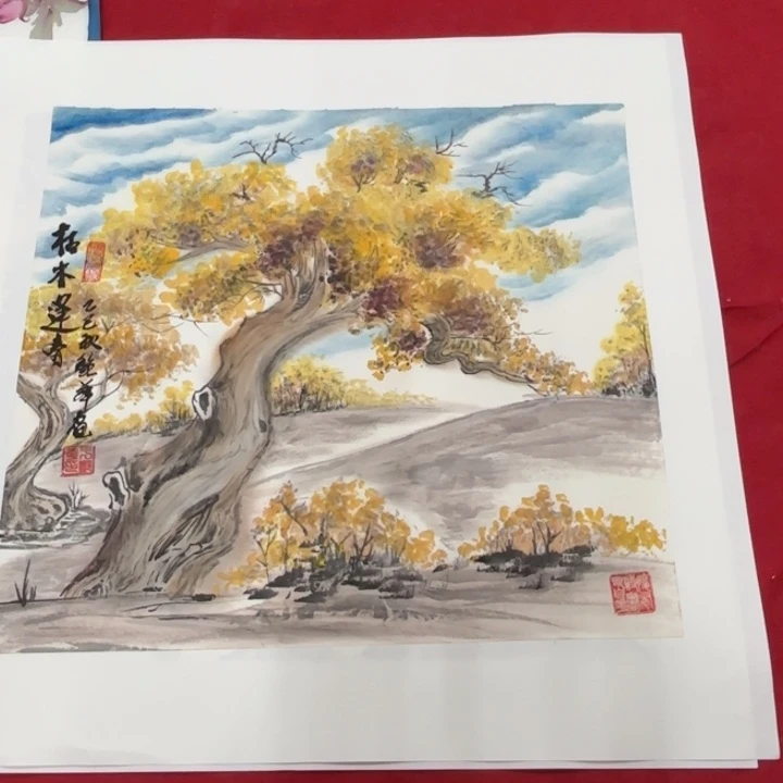 国画花鸟的翅膀和翅膀是