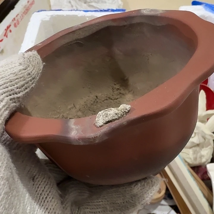 知***止扇子吃h哈哈好吧那你扭扭捏捏呢