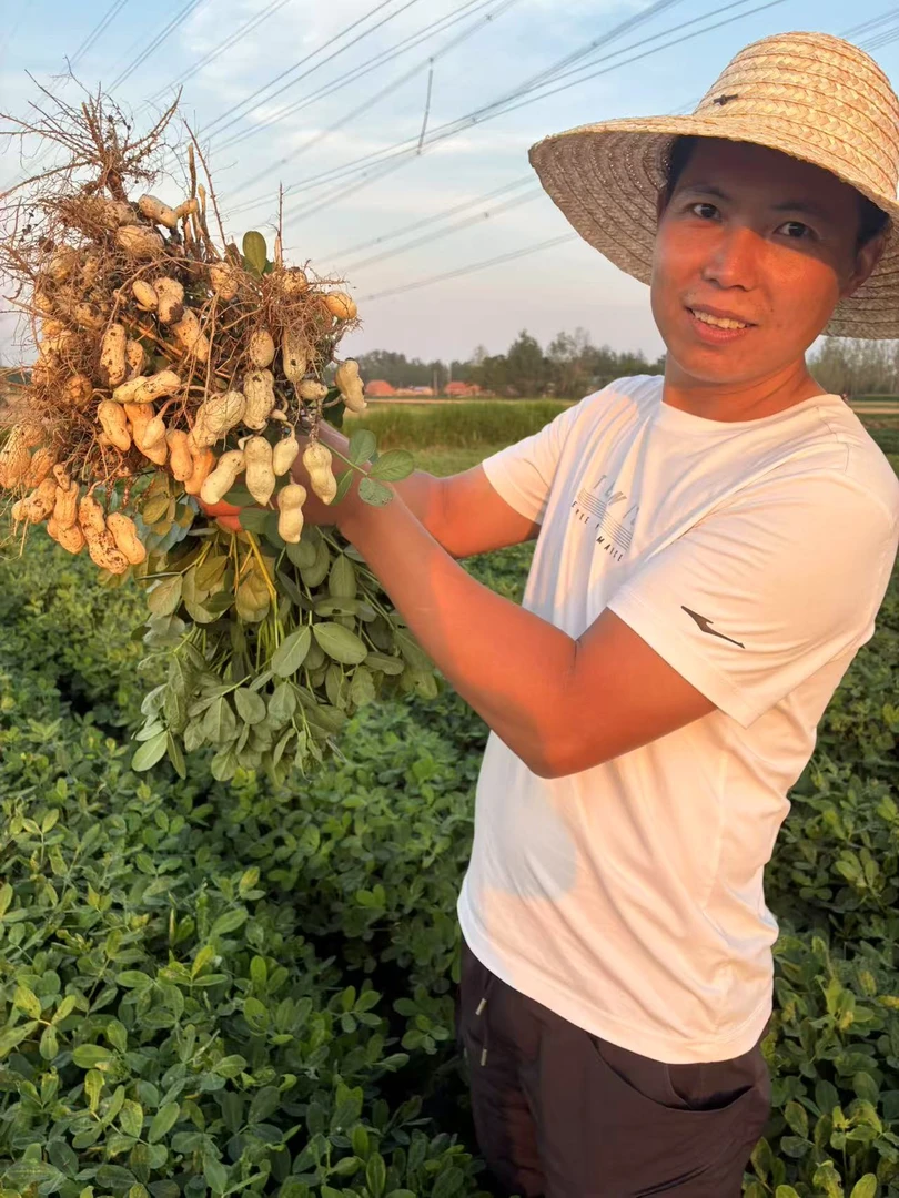 农家自种新鲜现挖现摘粉皮薄皮养胃花生