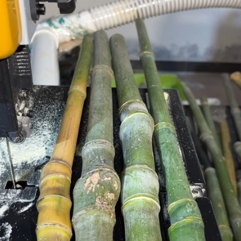 竹成*东实心我竹竹竹竹竹竹竹竹