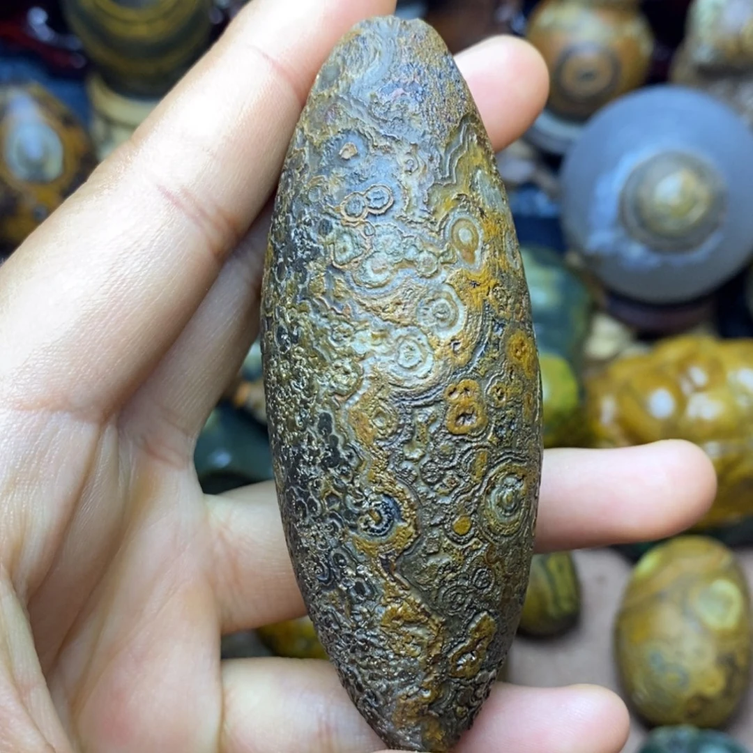 大叶紫檀（黑酸枝木类）∑****l