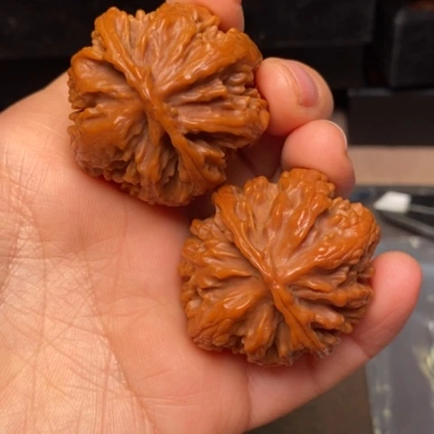 文玩核桃把件秦岭森林核桃