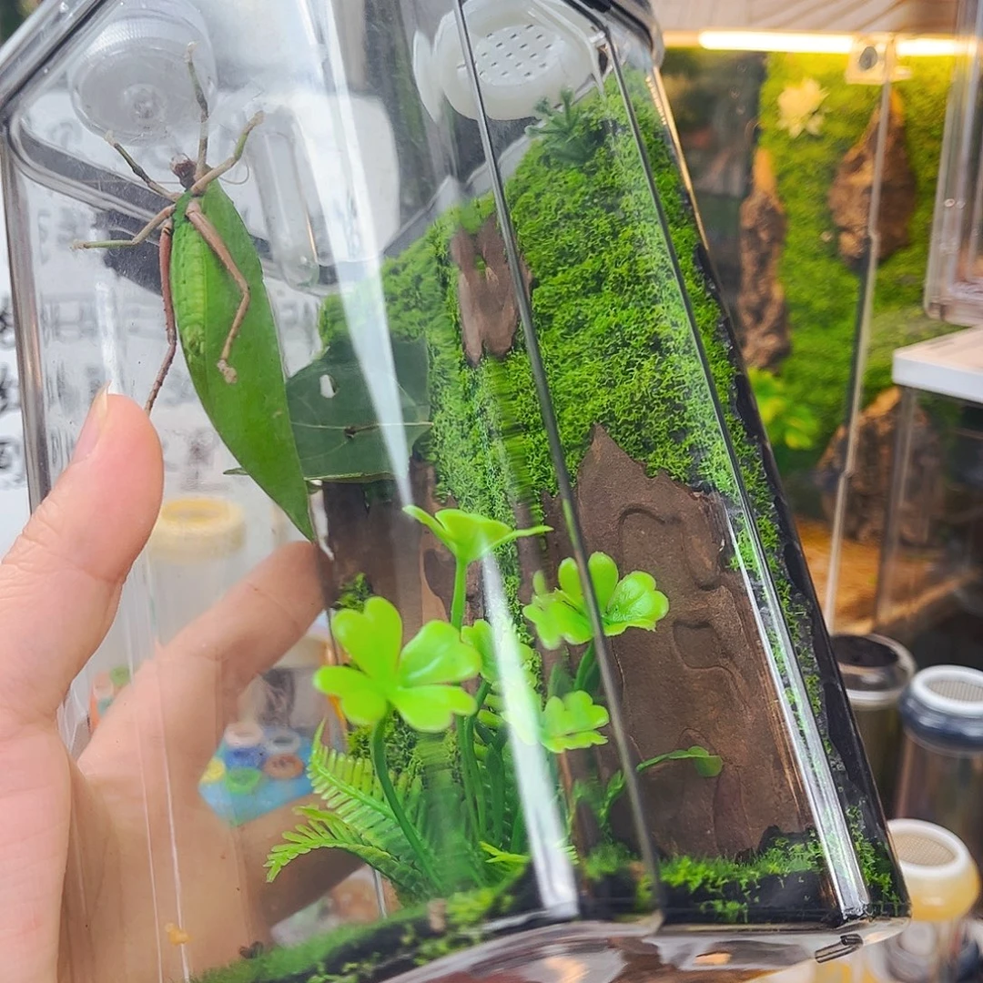 拍拍拍怕拍拍拍拍拍
