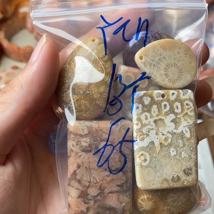 Y****未镶嵌珊瑚玉硅化玉