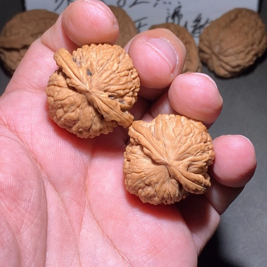 文玩核桃把件白狮子