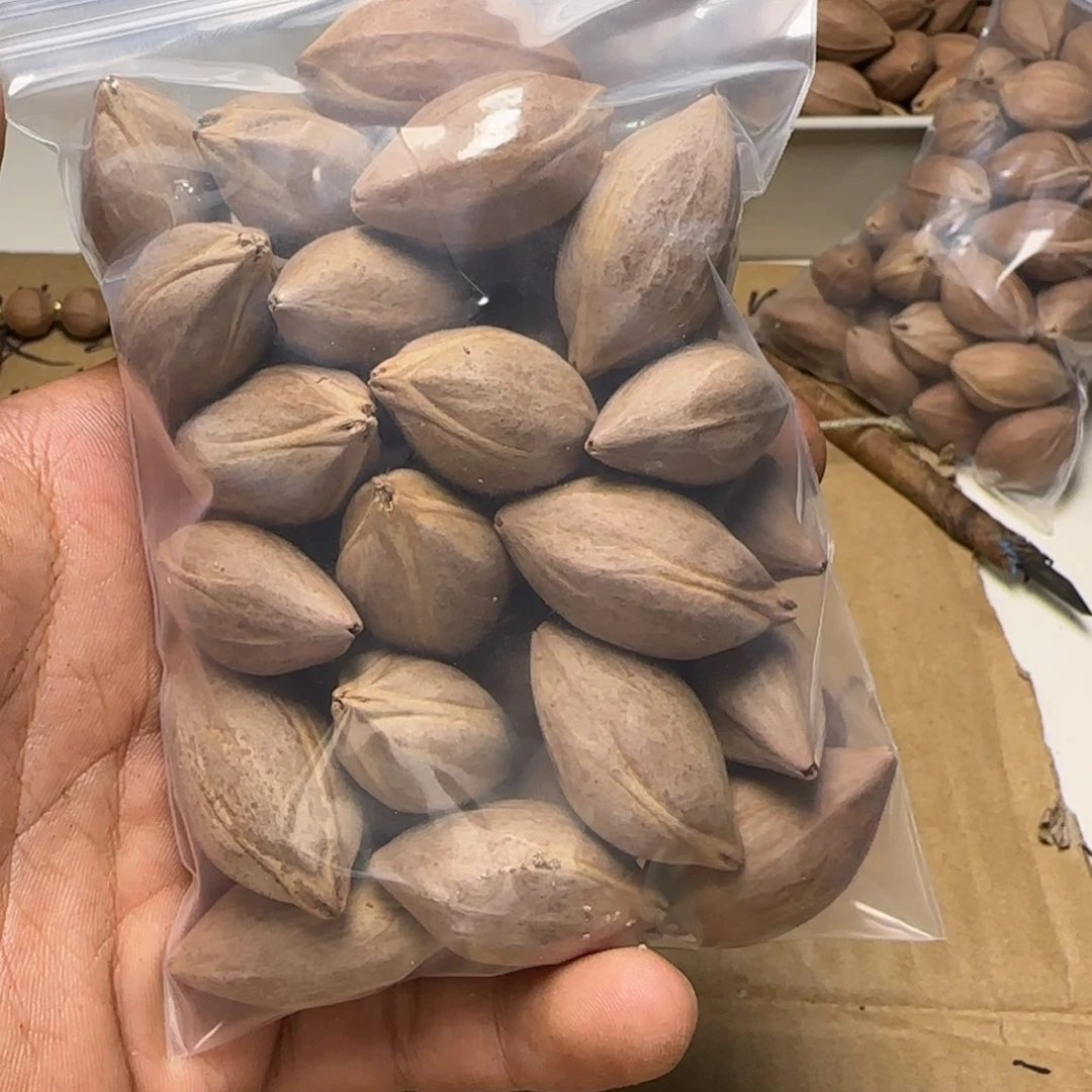 【闪购商品】橄榄核手串/手链?****?1111111