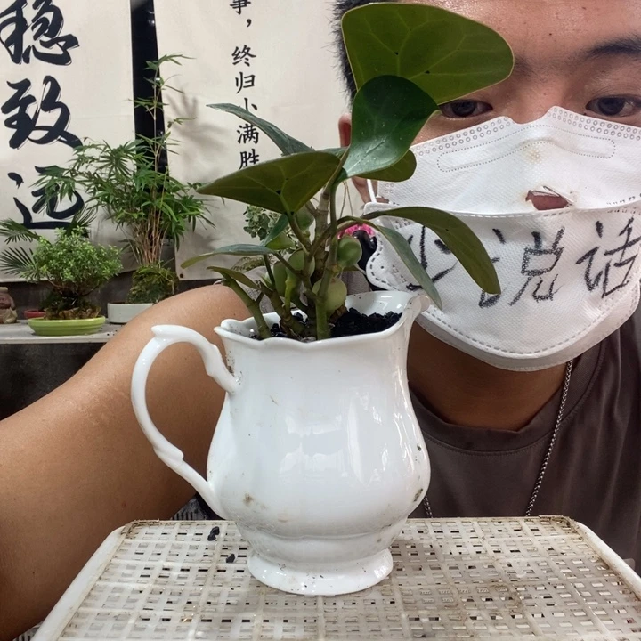 无花朵退款拉黑59