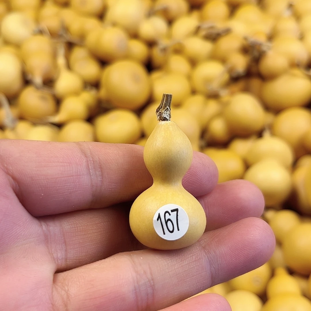 五葫芦葫芦葫芦葫芦167