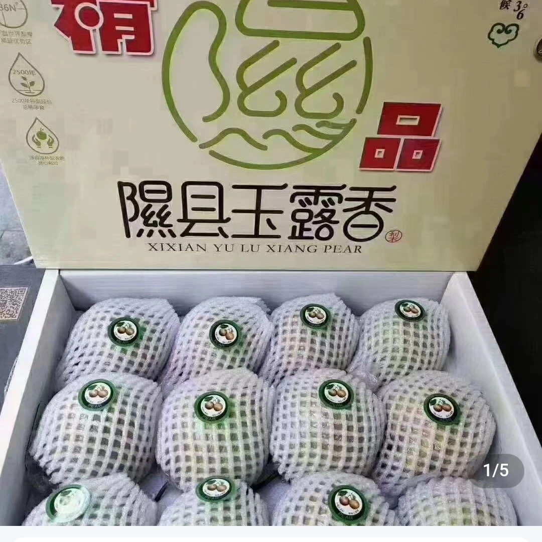 【511224-01】山西隰县玉露香梨水果皮薄肉厚果汁多甜，大果12棵8.5
