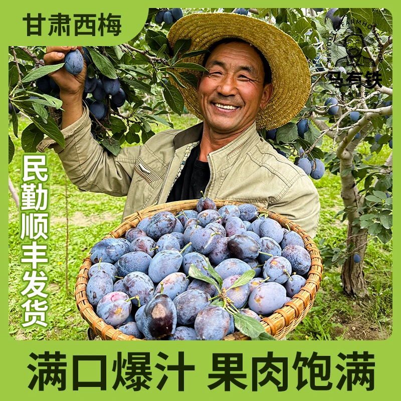 【顺丰快递】甘肃西梅汁水丰富甜度高高海拔区域种植当季水果