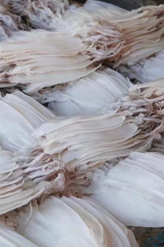 惠来码头新鲜本港手钓拖网鱿鱼干日晒辅食烧烤爆炒美食煲汤煮粥