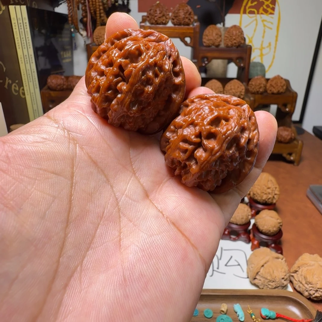 道哥俱乐部f红核桃白狮子42
