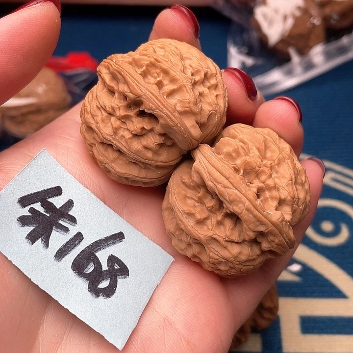 你****根修棱50米11111111111111111