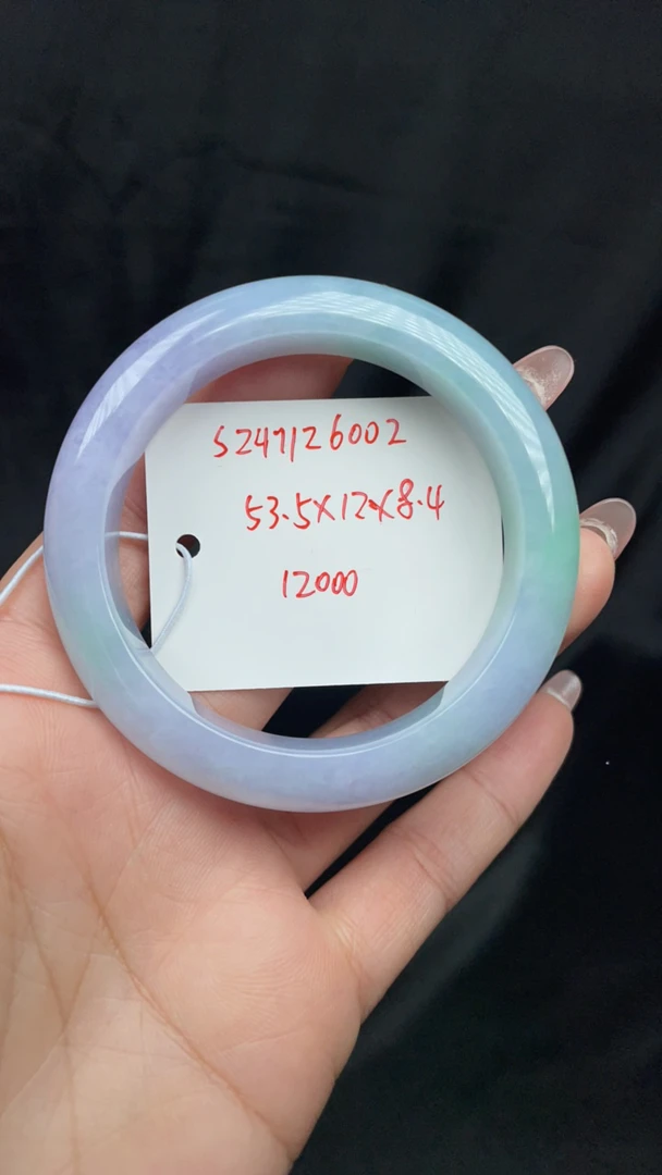 翡翠春彩手镯1126002