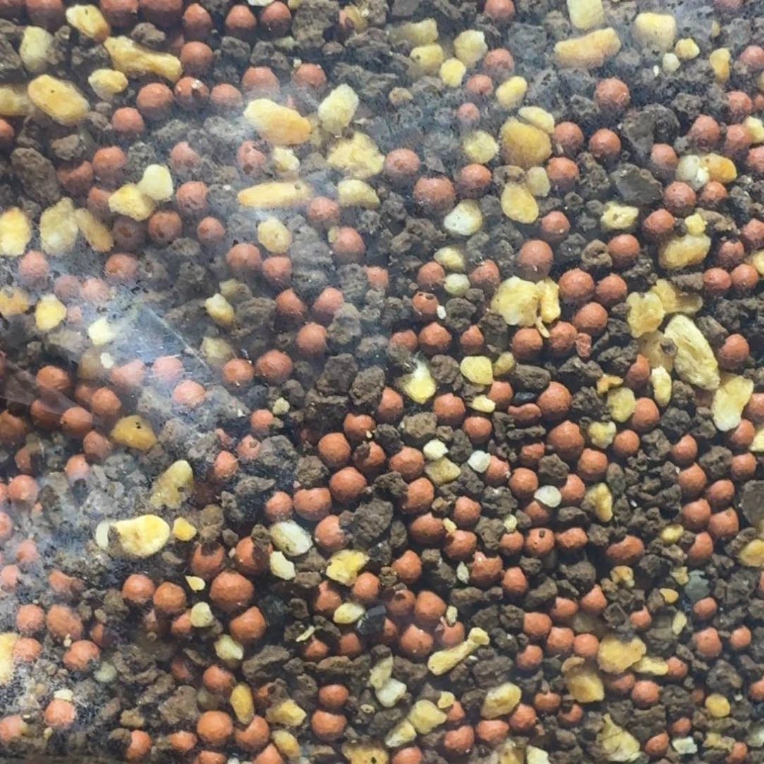 A****^玻璃瓶多肉专用颗粒土480克