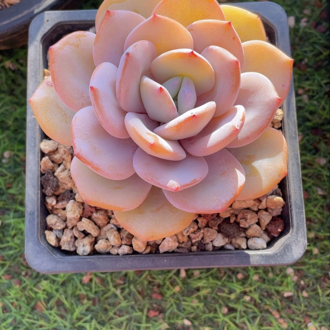 浅***光223333444333333