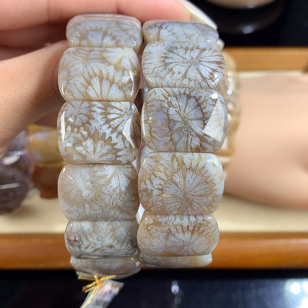 吊坠(赠链)未镶嵌硅化珊瑚（珊瑚玉）22号