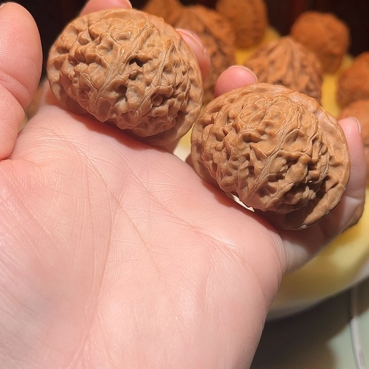 45邢台老树宫灯……