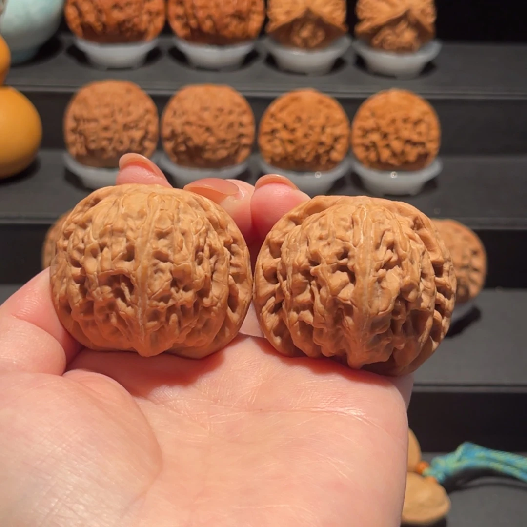 红锦鲤44精品，全品727