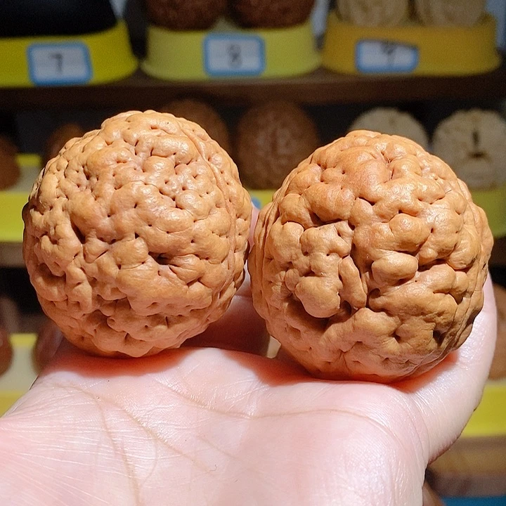 野生三瓣脑纹大金刚4550