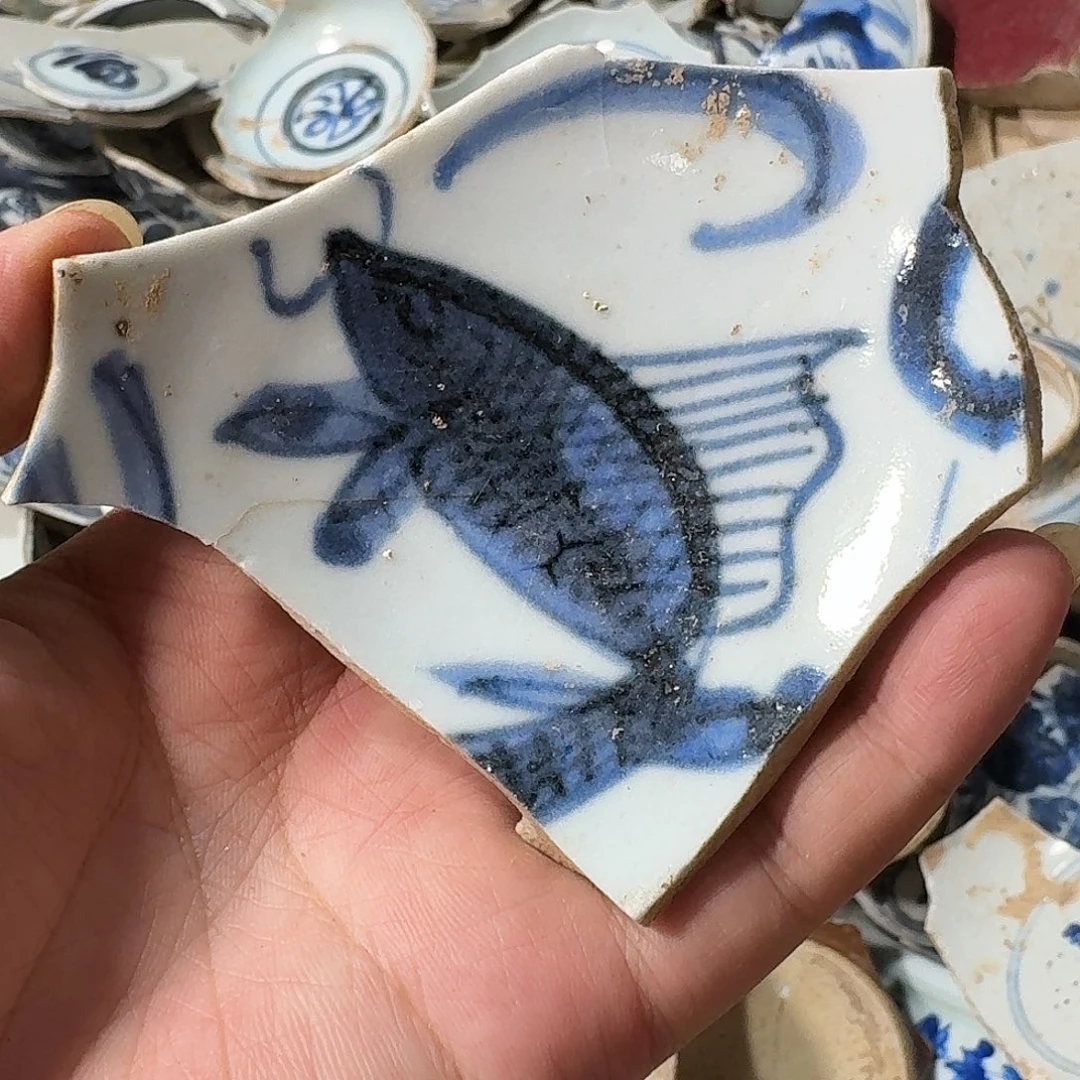 瓷片瓷片标本，顺丰包邮