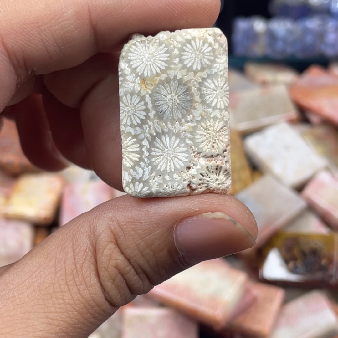 未镶嵌手镯硅化玉