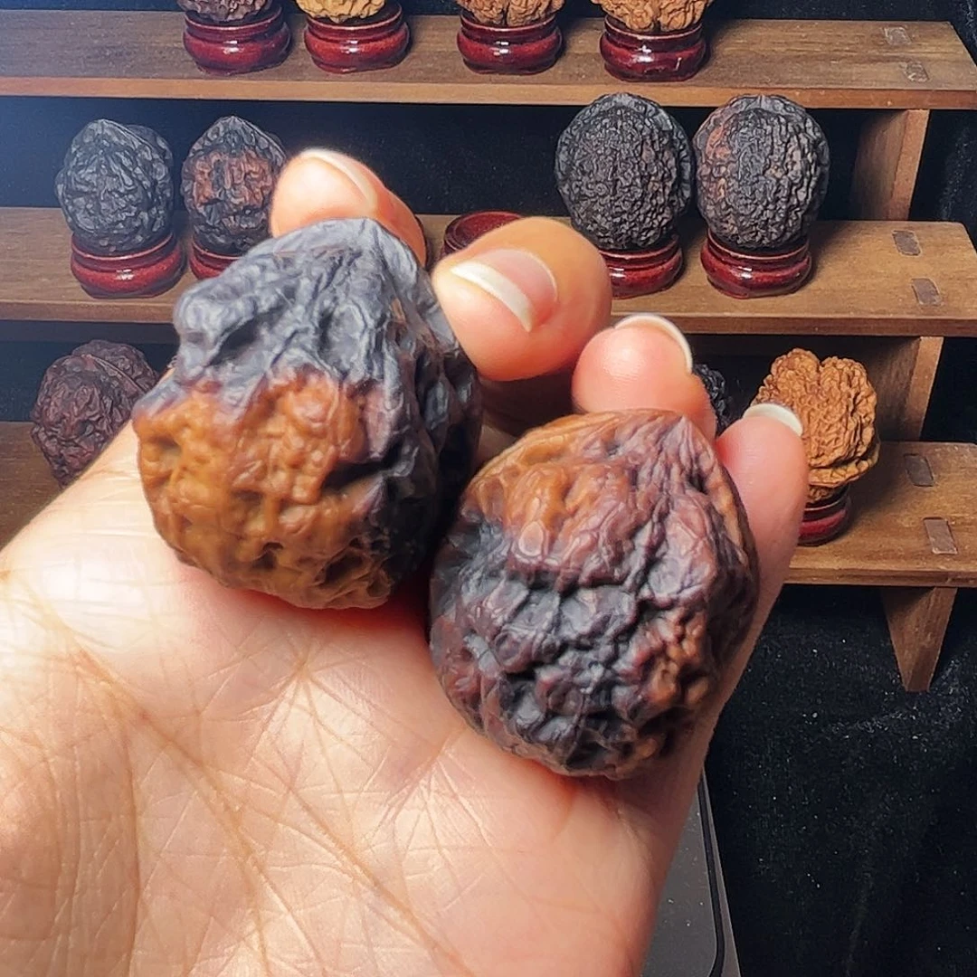 核桃手串/手链1*?毒王