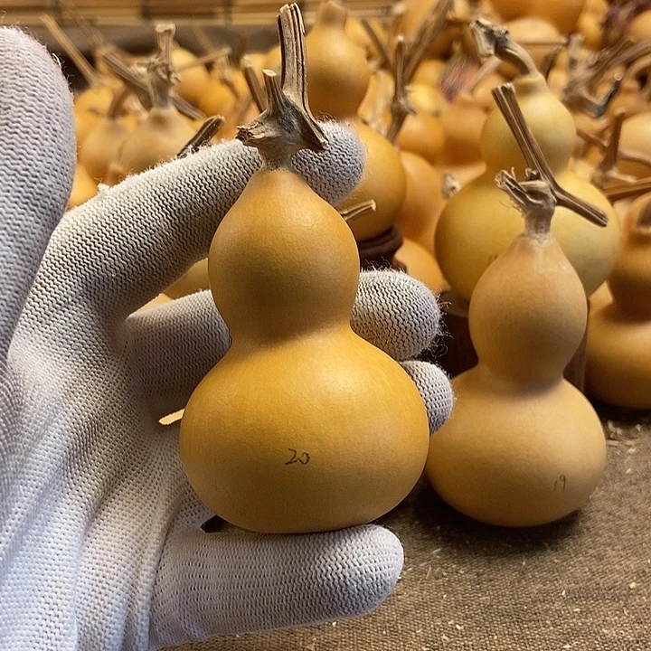 文玩葫芦 完美主义者 慎拍20