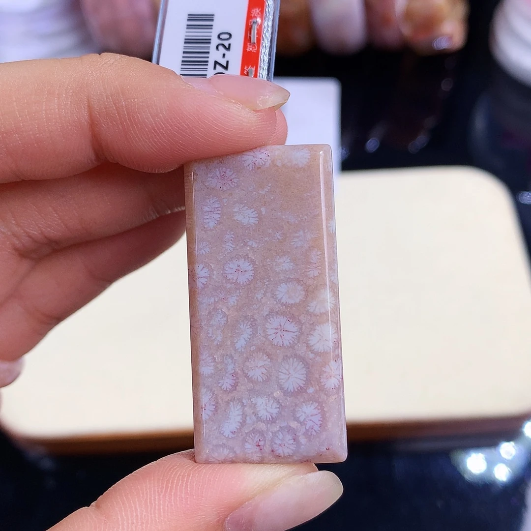 硅化珊瑚（珊瑚玉）未镶嵌吊坠(赠链)1号